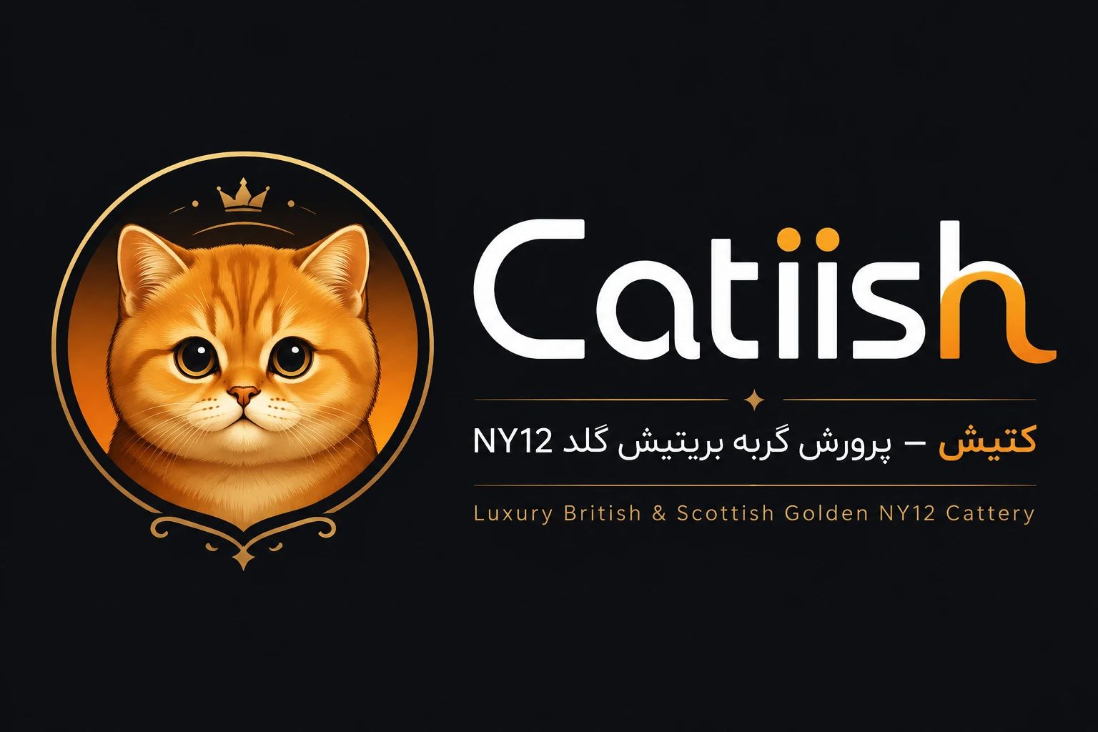 گربه خانگی کتیش