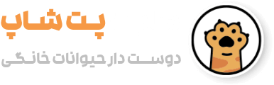 گربه خانگی کتیش
