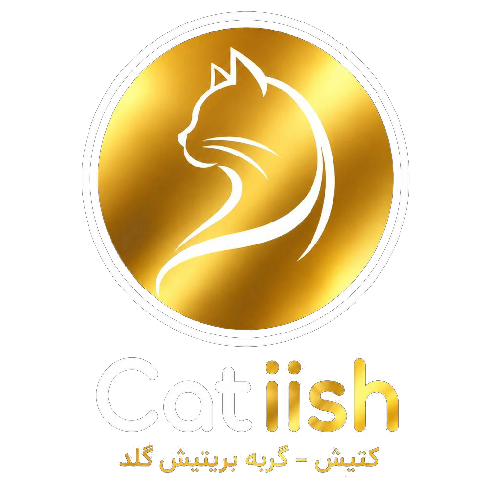 کتیش مرجع تخصصی گربه های خانگی